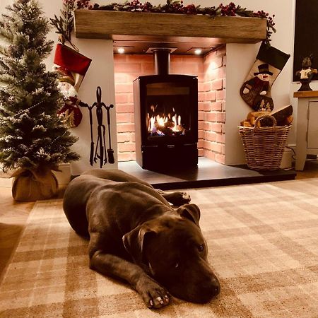Woodland Cottage - Private Courtyard - Pet Friendly Retreat In The Heart Of Windermere Exteriér fotografie